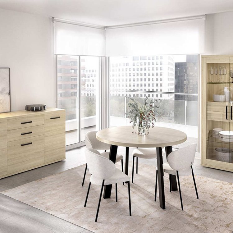 Salón práctico elegante
