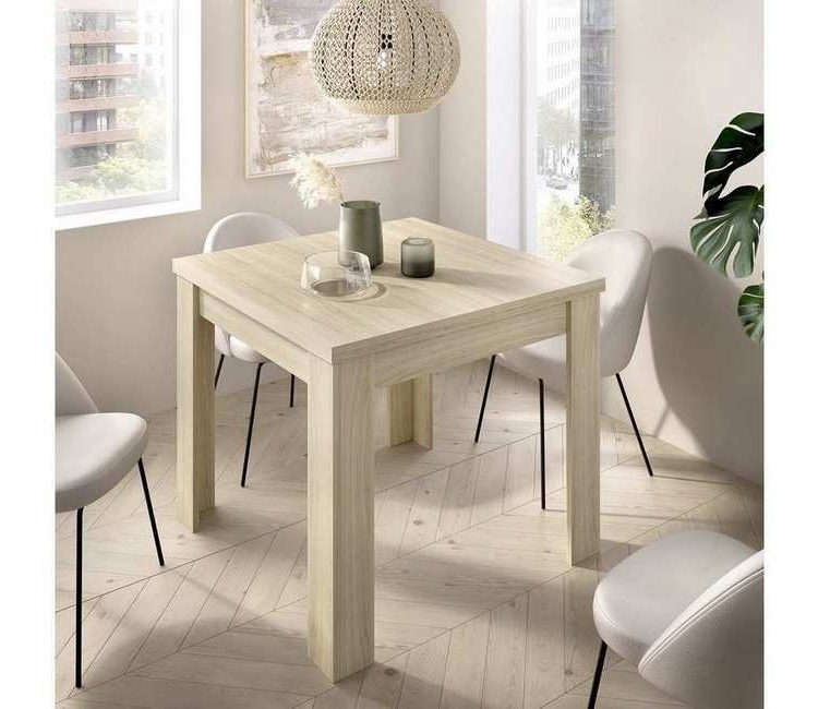 Salón acogedor elegante