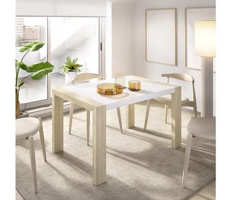 Comedor funcional contemporáneo
